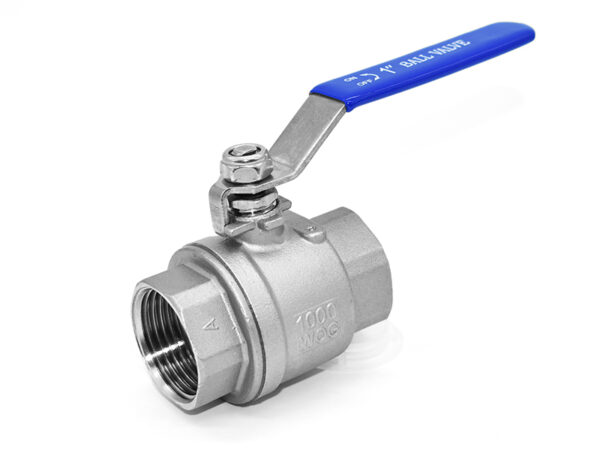 van-bi-2-manh-inox304-dn50-2-1000wog