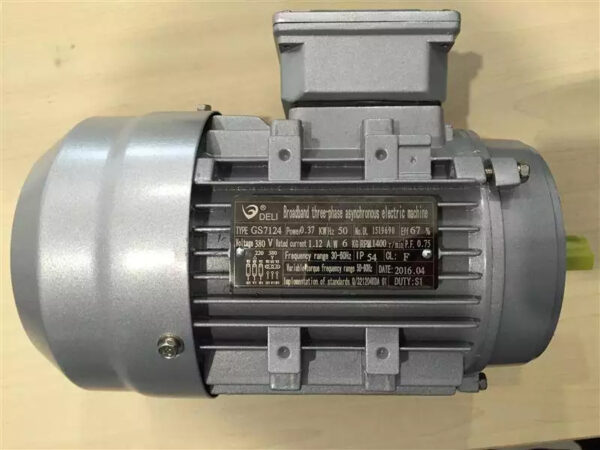 dong-co-3-pha-deli-gs7124