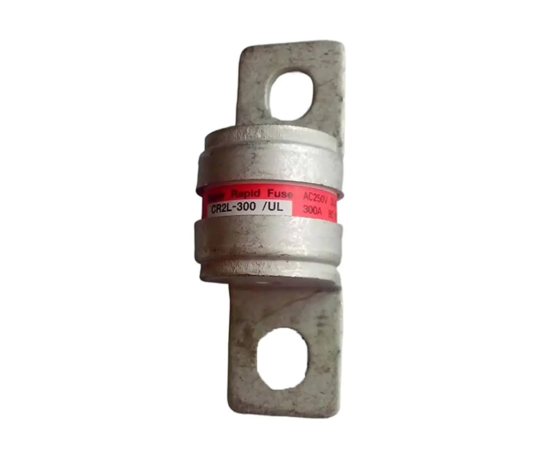 cau-chi-fuji-cr2l-300-ul-300a-250v-bc-100ka